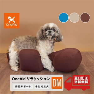 OneAid NbV DM ^Zp ppi A GCh VjA NbV  ybg p T|[g 뚋 h~  ij h~ Z u[ x[W uE