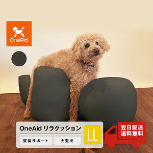 OneAid NbV LL ^p ppi A GCh VjA NbV  ybg p T|[g 뚋 h~  ij h~ `R[O[