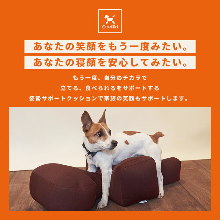 楽天市場】OneAid リラクッション DL 中型犬用 短足犬用 犬用介護用品  