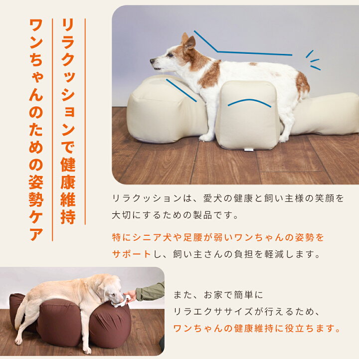 楽天市場】OneAid リラクッション DL 中型犬用 短足犬用 犬用介護用品  