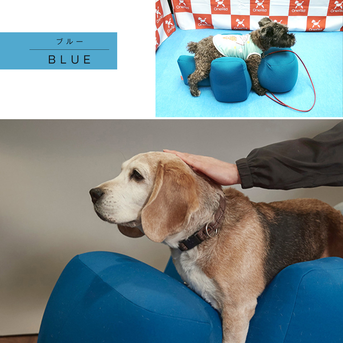 楽天市場 リラクッション S 小型犬用 犬用介護用品 アロン化成