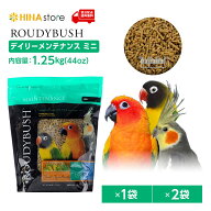 【正規品】ラウディブッシュ デイリーメンテナンス ミニ 44oz(1.25kg) 44oz(1.25kg)×2個セット【ROUDY B…