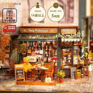 �y���b�s���O�Ή��z�y���{��������t���z �����ł� �r�X�g�� [ DG167 ] �~�j�`���A�n�E�X �h�[���n�E�X ROBOTIME Rolife DIY �M�t�g �v���[���g �a���� �C���e���A �������� ���������� �H�� �m