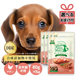 【選べるおまけ付き】yum yum yum！ チキン やわらかドライタイプ 80g×5袋 正規品ドッグフード ドックフード 犬用 全年齢対応 子犬 成犬用 老犬用 シニア犬 国産 無添加【ヤムヤムヤム】