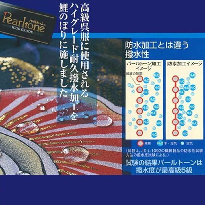 楽天市場】こいのぼり 天 手描き本染め鯉 スタンドセットAL型 1.5m 