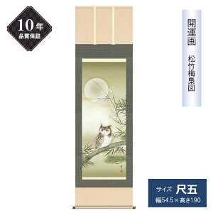 10�N�ۏ� �|���� �J�^�� �ڌ܃T�C�Y ���|�~���} �N���|�� �G�ߏ��� �ӂ��낤 �g�ˏ����} ���N�̗ǂ��|�� �����ʍI�|�� ��ʓ��� �a�� ���̊� ���_��