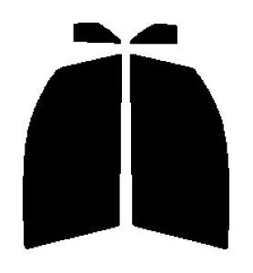 GHOST2 NEO(�S�[�X�g2 �l�I) �I�[����79�@�^�]�ȁE����ȁ@�_�C�n�c�@�}�b�N�X�@�iMAX�j�@L950S�EL952S�EL960S�EL962S�J�b�g�ς݃J�[�t�B�����@UV�J�b�g�@99���@���O���΍�@�f�M�@IR���ʁ@�ՔM����