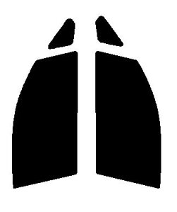 FUNKYGHOST(t@L[S[Xg) vY99@^]ȁEȁ@_Cnc@[@i[uEMOVEj@LA100SELA110S@Jbgς݃J[tB@UVJbg@99@O΍@fM@IRʁ@ՔM