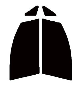 EfMtB@^]ȁAȁ@[@i[uEMOVEj@L175SEL185S@Jbgς݃J[tB