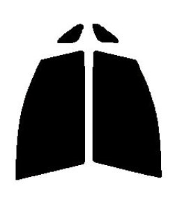 Braintec ML91(PURE) sA S[XgML91 @^]ȁEȁ@ACVX ANM10WEANM15WEANM10GEANM15GEZNM10WEZNM10GEZGM10WEZGM11WEZGM15WEZGM10GEZGM11GEZGM15GJbgς݃J[tB@UVJbg@99@O