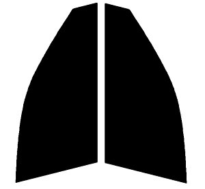 Braintec ML91(PURE) ピュア ゴーストML91  運転席・助手席 レクサス IS AVE30・ASE30・AVE35・GSE31カット済みカーフィルム UVカット 99% 紫外線対策 断熱