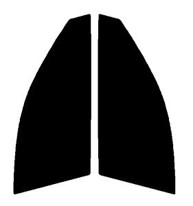 Braintec ML91(PURE) ピュア ゴーストML91  運転席・助手席 レクサス IS GSE20・GSE25・GSE21カット済みカーフィルム UVカット 99% 紫外線対策 断熱