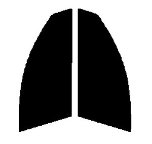 GHOST(�S�[�X�g) �I�[����80�@�^�]�ȁE����ȁ@�j�b�T���@�v�����[�� �Z�_�� TP12�ERP12�ETNP12�EHP12�EQP12�J�b�g�ς݃J�[�t�B�����@UV�J�b�g�@99���@���O���΍�@�f�M�@IR���ʁ@�ՔM����