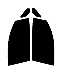 FUNKYGHOST(t@L[S[Xg) vY99@^]ȁEȁ@jbT fCY@B21WJbgς݃J[tB@UVJbg@99@O΍@fM@IRʁ@ՔM