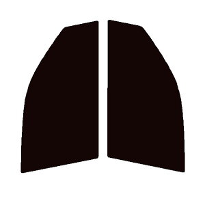 Braintec ML91(PURE) sA S[XgML91 @^]ȁEȁ@GNXgC NT31EDNT31ET31ETNT31Jbgς݃J[tB@UVJbg@99@O΍@fM