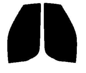 Braintec ML91(PURE) sA S[XgML91 @^]ȁEȁ@GOh NE51EE51EME51EMNE51Jbgς݃J[tB@UVJbg@99@O΍@fM