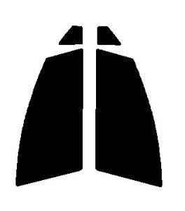 GHOST(S[Xg) I[80@^]ȁEȁ@ANA@NHP10Jbgς݃J[tB@UVJbg@99@O΍@fM@IRʁ@ՔM