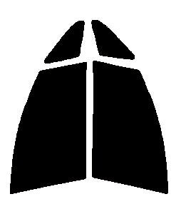 GHOST(S[Xg) I[80@^]ȁEȁ@GXeB}@MCR30WEMCR40WEACR30WEACR40WEAHR10WJbgς݃J[tB@UVJbg@99@O΍@fM@IRʁ@ՔM