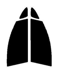 GHOST(�S�[�X�g) �I�[����80�@�^�]�ȁE����ȁ@���N�e�B�X�@NCP120�ENCP122�ENCP125�ENSP120�ENSP122�J�b�g�ς݃J�[�t�B�����@UV�J�b�g�@99���@���O���΍�@�f�M�@IR���ʁ@�ՔM����