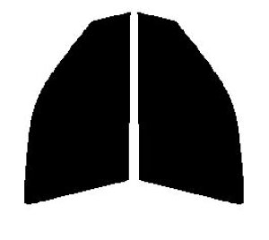 Braintec ML91(PURE) �s���A �S�[�X�gML91 �@�^�]�ȁE����ȁ@�r�X�^ �Z�_�� SV50�ESV55�EZZV50�EAZV50�EAZV55 �J�b�g�ς݃J�[�t�B�����@UV�J�b�g�@99���@���O���΍�@�f�M