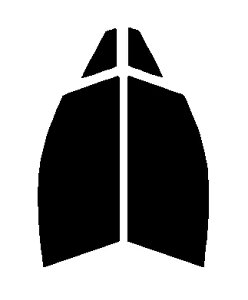 FINE GHOST(�t�@�C���S�[�X�g) �I�[����87�@�^�]�ȁE����ȁ@�g���^�@C-HR�@NGX50�@ZYX10�J�b�g�ς݃J�[�t�B�����@UV�J�b�g�@99���@���O���΍�@�f�M�@IR���ʁ@�ՔM����