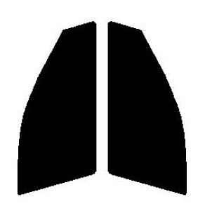 FUNKYGHOST(t@L[S[Xg) vY99@^]ȁEȁ@g^@}[NX@GRX130EGRX133EGEX135Jbgς݃J[tB@UVJbg@99@O΍@fM@IRʁ@ՔM