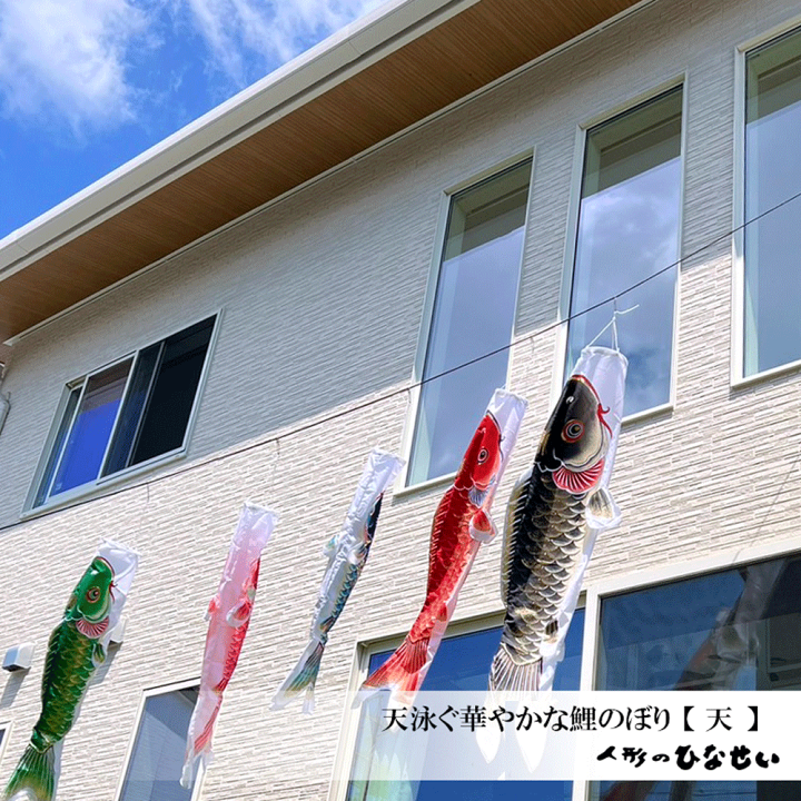 鯉のぼりベランダセット 鯉のぼり【熊本店】 / ベランダセット【羽衣錦鯉】