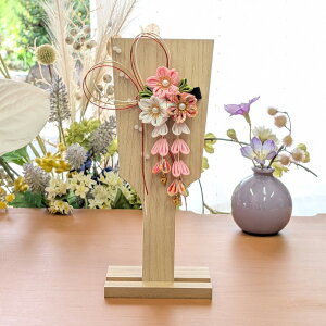 Hq ؖځFHq RpNg 킢  ~j TCY Hqj  _ Hq   lC }t ܂ݍ׍H k t 񂴂 O ̎q