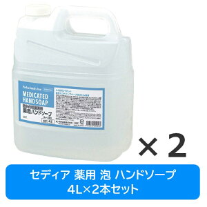 y^ꏜz kCzs ZfBA p nh\[v A^Cv 4L×2{ ֗ȃRbNt [X F SEDIA A 蔧   E F lߑւp A 