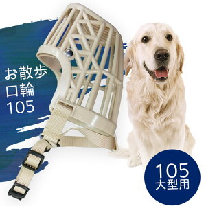 _ ɂ400~N[|{}\Si5{ ^y 005 ^p zU005 OKW005y h    ih~ ݕ s zݕȂAiȁAEH鈤p̃vX