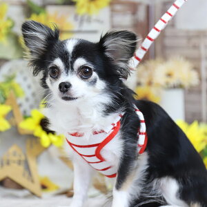 _ LINEo^300~N[| ^y3S n[lX [hzy [ zjbg{[_[SH[h Rbg lCr[ bh (L ^   쐻쏊)