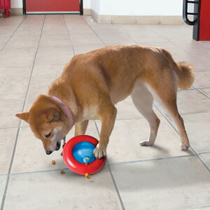 _ 1͑Si|Cg10{I ^ XyNguYWp RO WCy mgC {[ KONG   XyNguYWp z]A͂肵Ȃy