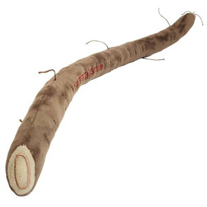 _ LINEo^300~N[| ^ڂy xXgGo[   ʂ ݂ӂӂ  킢 z H~̏HIHɂ҂ȐHו`[t̃ybggCłB