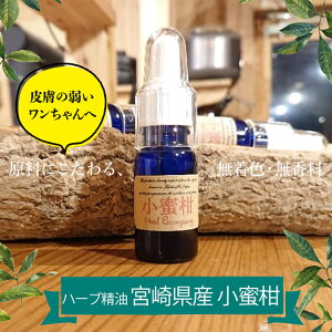 _ LINEo^300~N[| ^y14mlzn[u {茧Y  (A}  lOK  ێPApXv[ QVv[ 畆 AM[ Y F QVv[ Qcompany lOK)