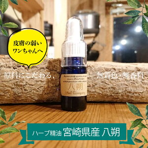 _4ԃ^CSALE10OFF+|Cg10{^y14mlzn[u {茧Y (A}  lOK  ێPApXv[ QVv[ 畆 AM[ Y F QVv[ Qcompany lOK)