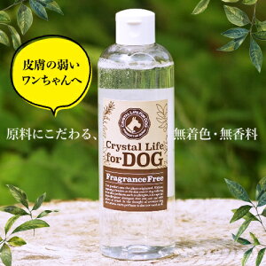 _ LINEo^300~N[|I ^y300mlzNX^CttH[hbOihbOVv[   RR  F Qcompany Vv[ lԂOK QVv[ AM[)