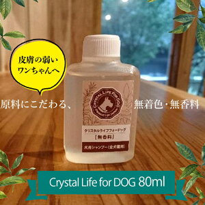 _ LINEo^300~N[|I ^y80mlzNX^CttH[hbOihbOVv[   RR  F Qcompany Vv[ lԂOK QVv[ AM[)