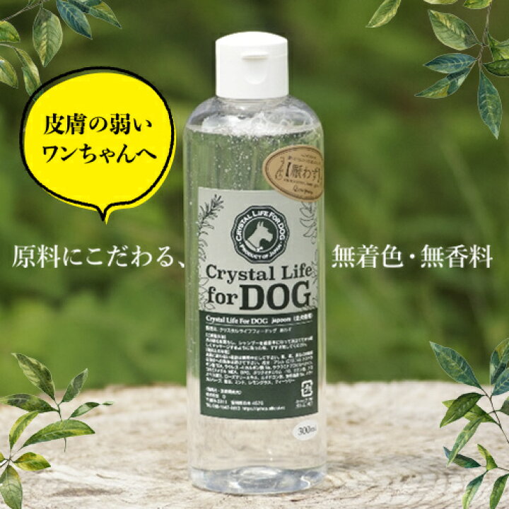楽天市場 厭わず 300ml 犬 お手入れ 自然由来 無香料 無着色 Qcompany シャンプー 人間もok 無添加 無着色 Qシャンプー アレルギー ひなたぼっこ楽天市場店