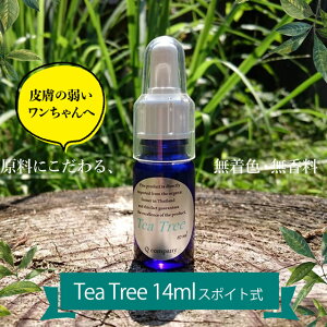 _ ɂ400~N[|{}\Si5{ ^y14mlzn[u Tea Tree X|Cg(A}  lOK  ێPApXv[ QVv[ 畆 AM[ Y F QVv[ Qcom