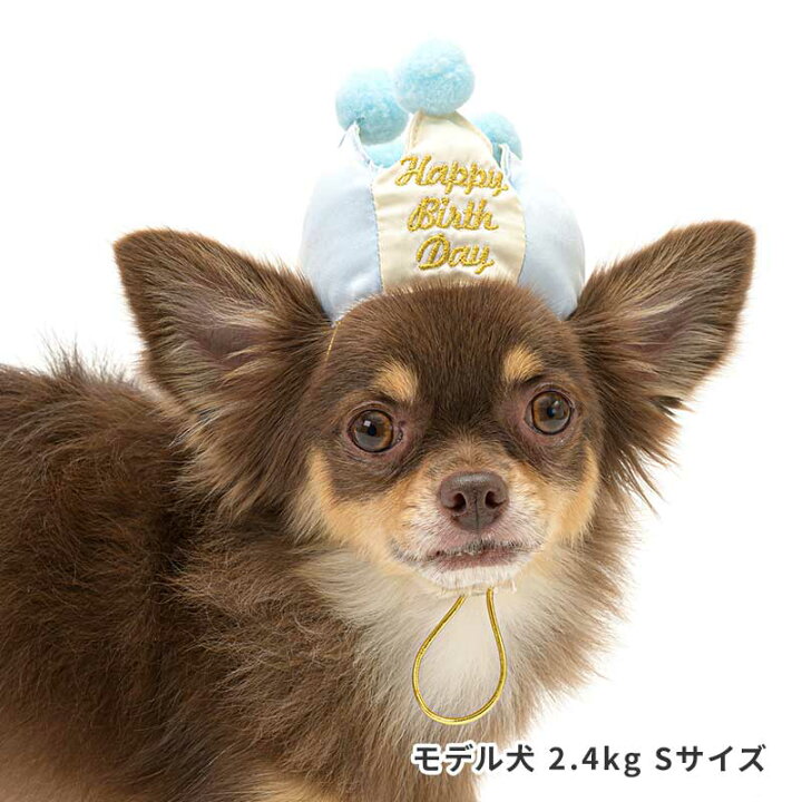 楽天市場 プレミアムバースデークラウン S Mサイズ 犬 帽子ta誕生日 小型犬 中型犬 大型犬 Lifelike 犬 服 インスタ映え ライフライク ひなたぼっこ楽天市場店