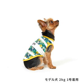 【LINE登録で350円クーポン！】 ICEトロピカルボーダータンク ライフライク【犬 服 ライフライク】（ひんやり 犬 服 冷感 冷たい 夏 可愛い 服 ）(小型犬 中型犬)《ネコポス配送》