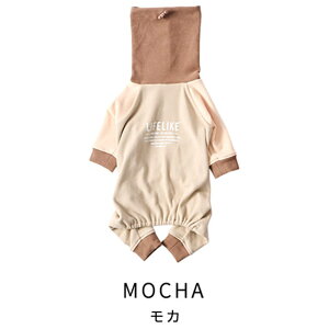 _݌ɏSALE^ Xk[h t[X p[X   CtCN  킢 p[X ybg  ̗m m ybgm m ̕ p Lk h g[i[ 