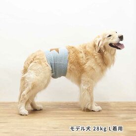 楽天市場 腹巻 ペット ペットグッズ の通販 楽天市場 腹巻 ペット ペットグッズ の通販