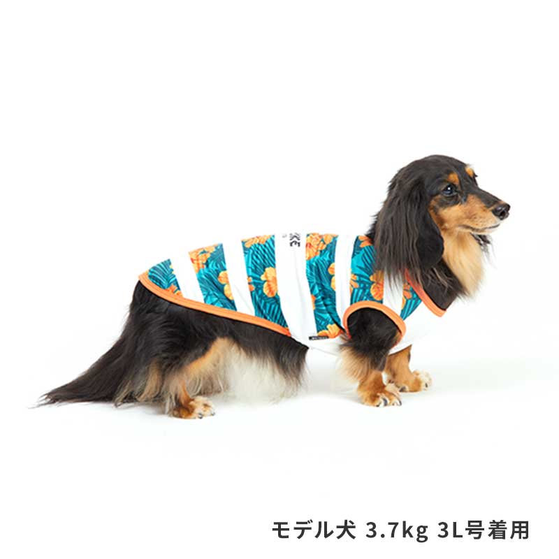 犬用 ペット服 ライフライクの人気商品・通販・価格比較 - 価格.com