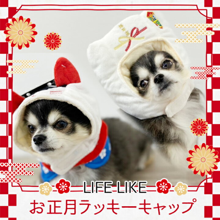 楽天市場 最大350円わんにゃんdayクーポン お正月ラッキーキャップ 張り子犬 Mサイズ 帽子 小型犬 中型犬 大型犬 Lifelike 犬 服 牛 正月 インスタ映え ライフライク 祝い ひなたぼっこ楽天市場店
