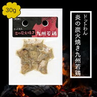 ＼ マラソン期間ポイント5倍！ ／ 【 メール便 】リニューアル【 50g 】ドットわん 炎の炭火焼き （新仕…