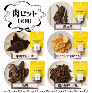 _ 1͑Si|Cg10{I ^PiIy Iׂ 5܃Zbg^ z hbOc[Sy@DOG TREE    Y Y   `[Y AM[ Mtg v[g hbOc