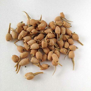 _ LINEo^300~N[|I ^Lb`hbO NbL[ T[fB`bvXy   NbL[ Y  Kitichen DogI Lb`hbO z