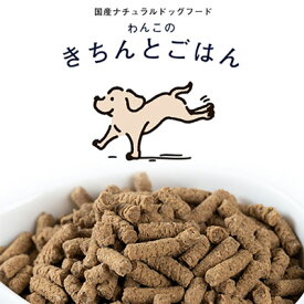＼ マラソン期間全品10倍！ ／《送料無料》【1袋】【総合栄養食　AAFOC基準クリア】わんこのきちんとごはん300g(小さいサイズ 国産 ナチュラルドッグフード シニア 極小粒 犬