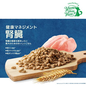 ＼ エントリーでポイント最大10倍！+10％OFF／【 お試し ／50g ／500g ／1.3kg ／ 3.9kg 】yum yum yum！健康マネジメント腎臓（ヤムヤムヤム 腎臓 ウィズ グリーンドッグ ドッグフード シニア ヤムヤム かつお 魚）【犬 フード 腎臓病 お試しアレルギー】